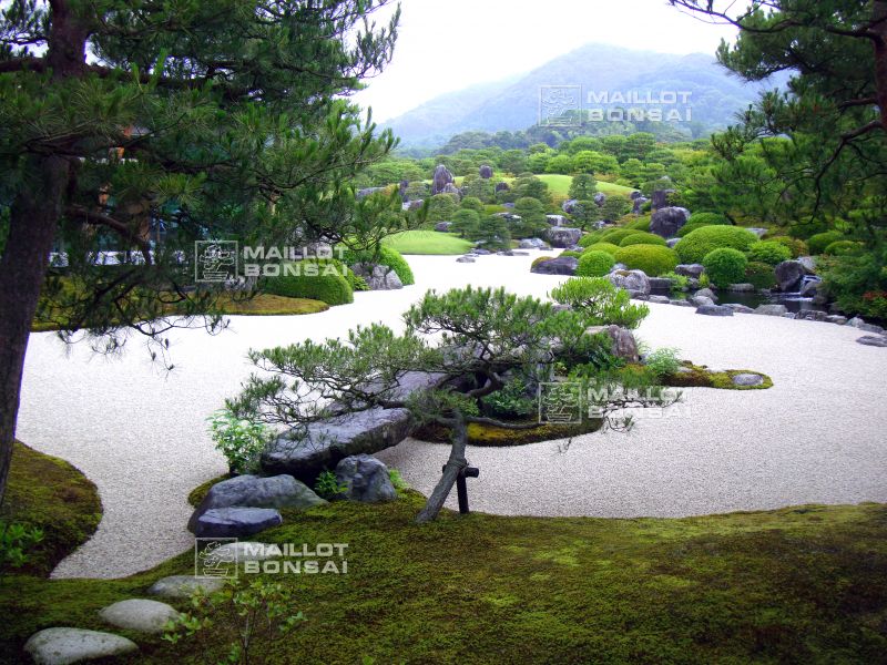 l-extraordinaire-adachi-garden