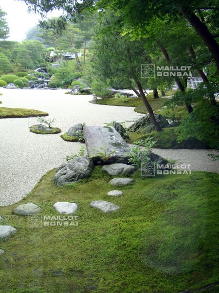 l-extraordinaire-adachi-garden
