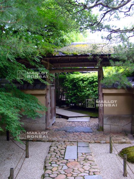 l-extraordinaire-adachi-garden