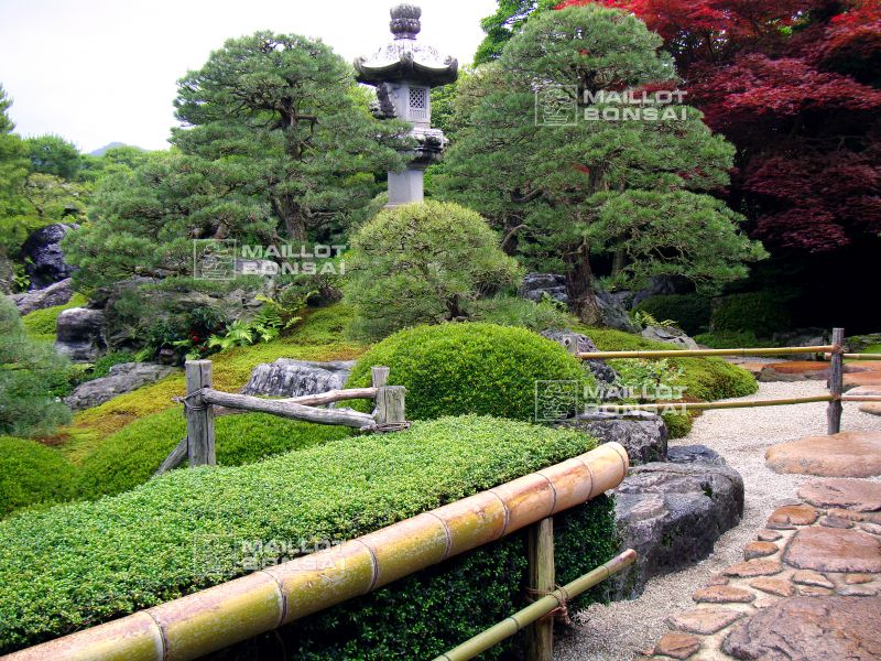 l-extraordinaire-adachi-garden