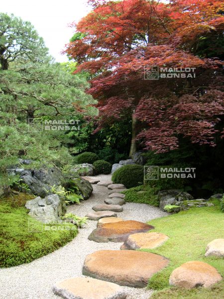 l-extraordinaire-adachi-garden