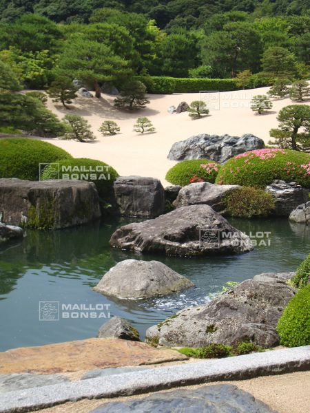 l-extraordinaire-adachi-garden