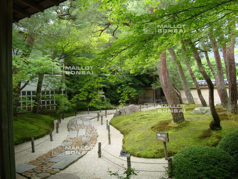 l-extraordinaire-adachi-garden