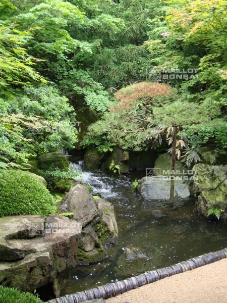 l-extraordinaire-adachi-garden