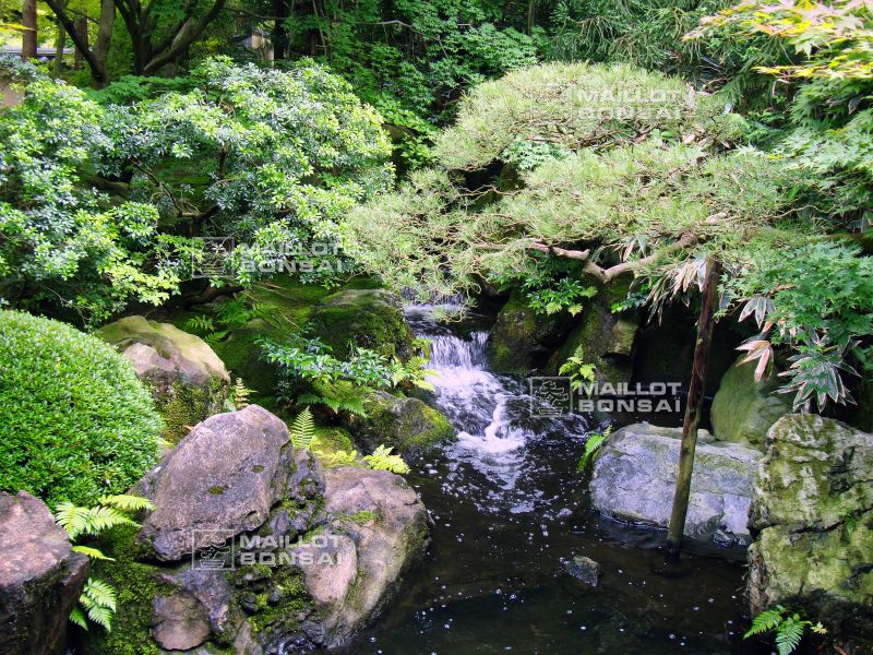 l-extraordinaire-adachi-garden
