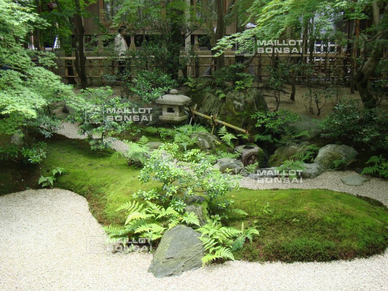 l-extraordinaire-adachi-garden
