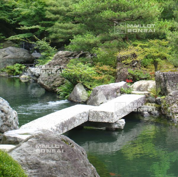 l-extraordinaire-adachi-garden