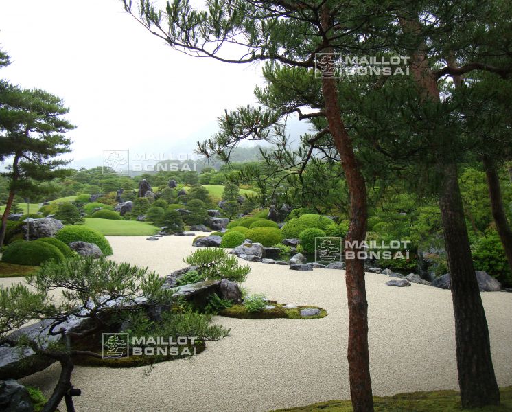 l-extraordinaire-adachi-garden