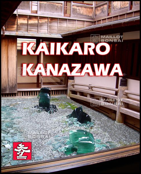 kaikaro-geisha-house