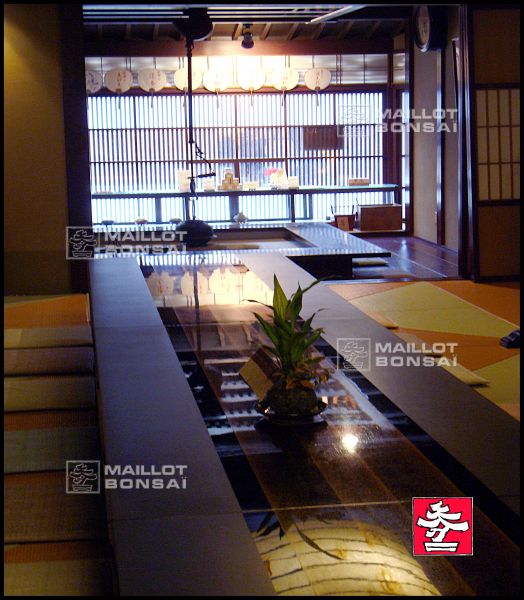 kaikaro-geisha-house