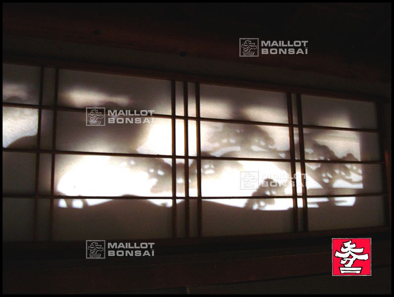kaikaro-geisha-house