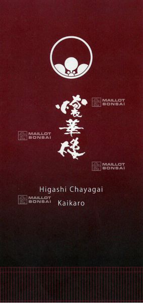 kaikaro-geisha-house
