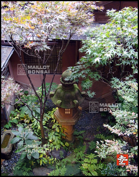 vue-du-jardin-depuis-le-balcon