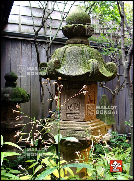 shima-tea-house-a-kanazawa