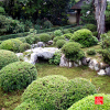 anrakuji-temple-kyoto