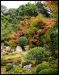 jardins-du-japon-kyoto-automne-2007