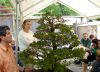 a-bonsai-demonstration-by-guy-maillot-in-new-york