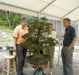 demonstration-bonsai-new-york-mai-2008